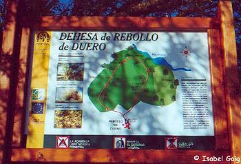 Cartel de la Dehesa de Rebollo de Duero (Soria)