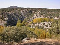 Cañón del río Izana. Las Cuevas (Soria)